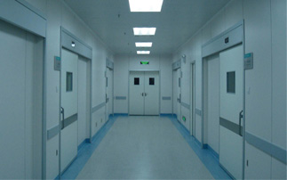 鋼制雙開凈化門